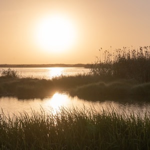 Exploring the Creole Nature Trail: Louisiana's National Scenic Byway