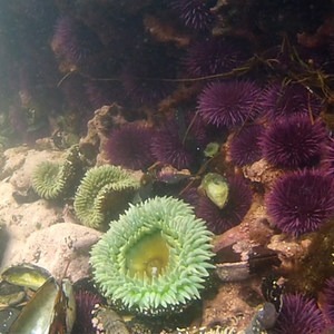 Outdoor Project Compilation Video