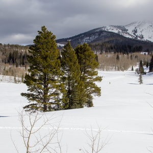 Hahns Peak Lake Area