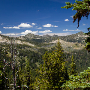 Elkhorn Crest Trail: Lost Lake + Summit Lake