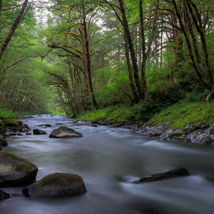 Alder Glen Recreation Site