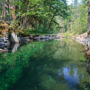 Elk Lake Creek: North Trailhead to Battle Creek