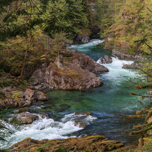 Little North Santiam River Trail