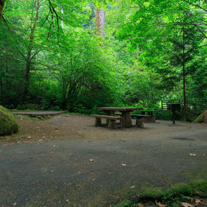 Loon Lake East Shore Recreation Site Campground