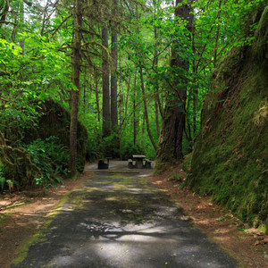 Loon Lake Recreation Site Campground