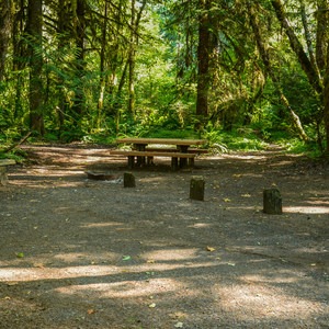 McKenzie Bridge Campground