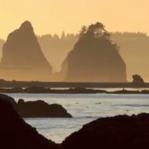Olympic South Coast Wilderness Trail, La Push to Hoh River