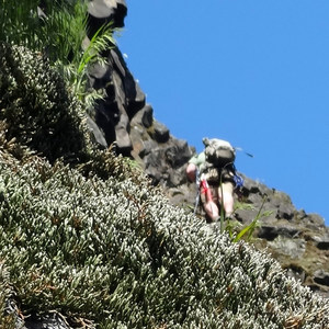 Rooster Rock Climbing Crag