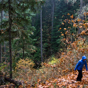 Deception Butte Hike
