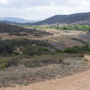 Los Peñasquitos Canyon Preserve