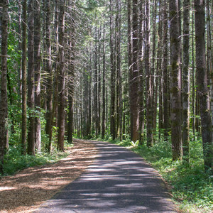 Banks-Vernonia Trail