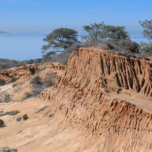 Torrey Pines State Natural Reserve