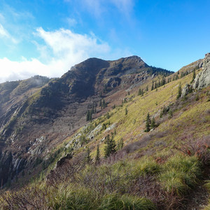 Silver Star Mountain via the Bluff Mountain Trail