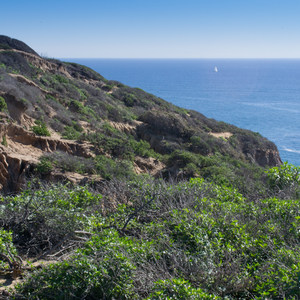 Dana Point Headlands Conservation Area