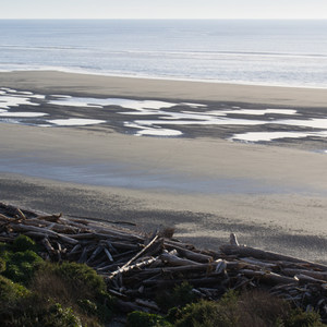 Kalaloch Beach 1