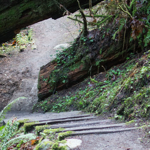 Peabody Creek Loop Trail