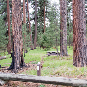 Ochoco Divide Campground
