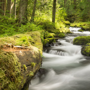 Greenwater + Echo Lakes