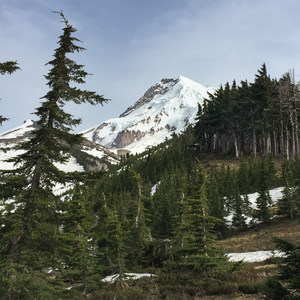 Vista Ridge Trail Hike