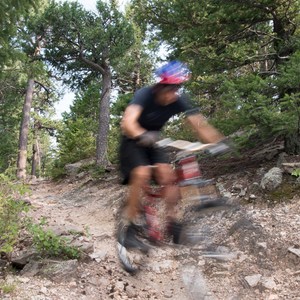 Elk Meadow + Bergen Peak Loop