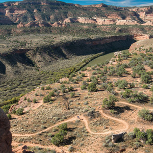 Kokopelli Loops Mountain Bike Trails: Horsethief Bench