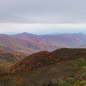 Joyce Kilmer-Slickrock Wilderness Loop