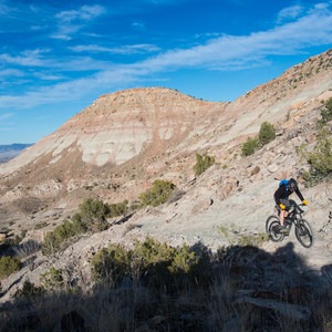 Lunch Loops Mountain Bike Trails: Andy's Trail
