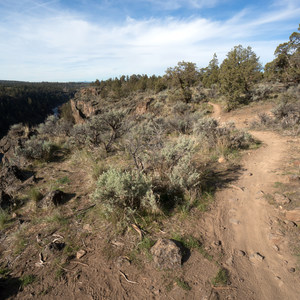 Maston Trails Outer Loop