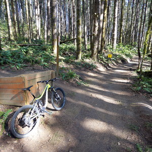 L.L. Stub Stewart State Park Mountain Bike Trails: Freeride + XC Loop
