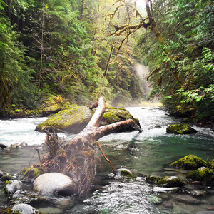 Lower Gray Wolf River