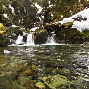 Carbon River to Ipsut Falls