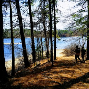 Walden Pond + Adams Woods