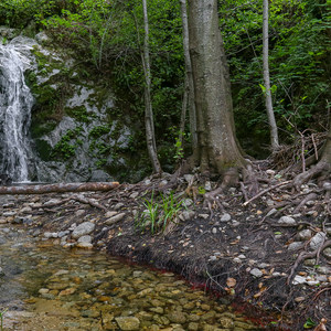 Fern Falls via Kahn Ranch