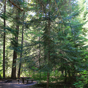 Tumwater Campground