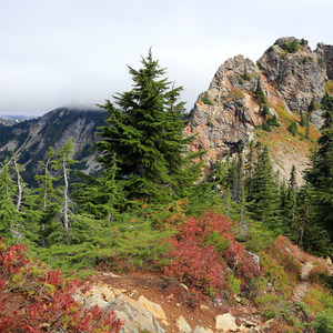 Commonwealth Basin Trail to Red Pass
