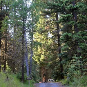 Mineral Springs Campground