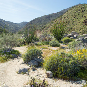 Hellhole Canyon Trail to Maidenhair Falls