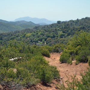 Canyon Oak Trail
