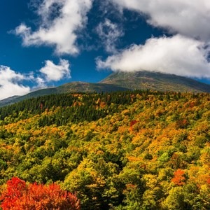 6 “Off-the-Beaten-Path” Hiking Trails in the White Mountain National Forest