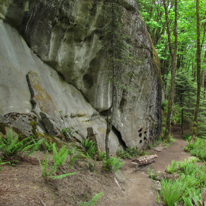 Rock Trail
