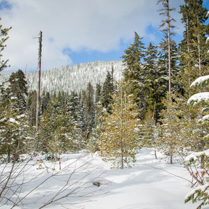 Mud Creek Ski Loop