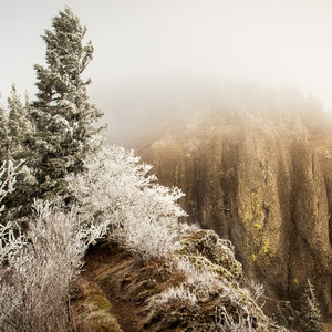 Hamilton Mountain Hike