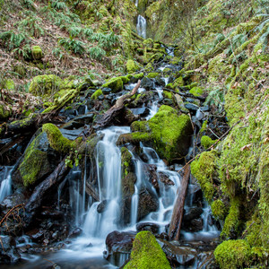 Pacific Crest Falls Hike via Herman Bridge Trail