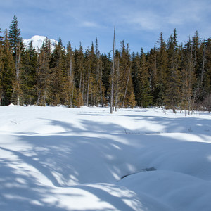 Enid Lake Ski + Snowshoe Loop Trail