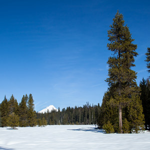 Clear Lake Butte Loop