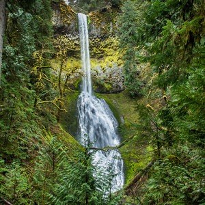 Clackamas River Trail