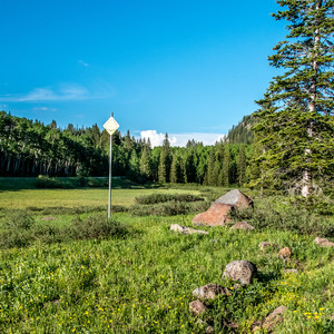 Spruce Grove Campground