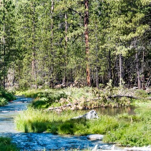 McKay Crossing Campground