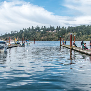 Alsea Bay Marina + Robinson Park