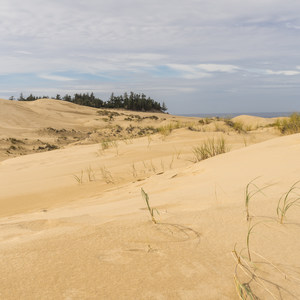 Hall + Shuttpelz Lake Trail